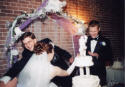 Cake fight